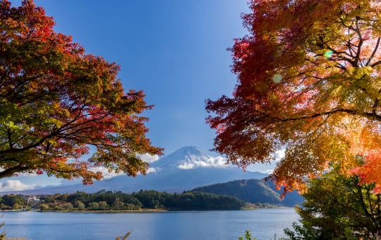 fuji five lakes