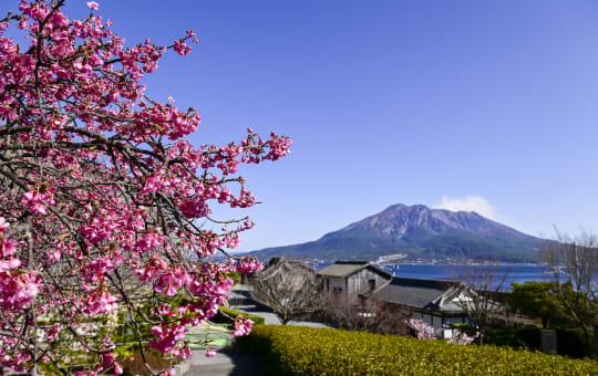 Sakurajima