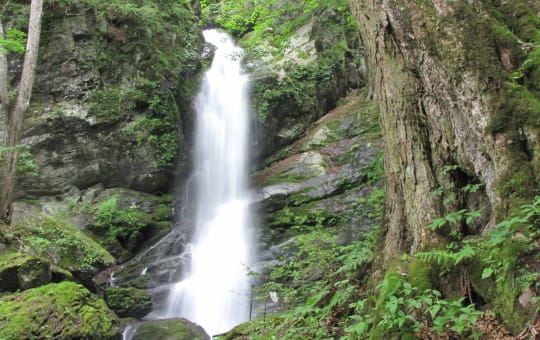 Sanagisawa Fudo Falls 