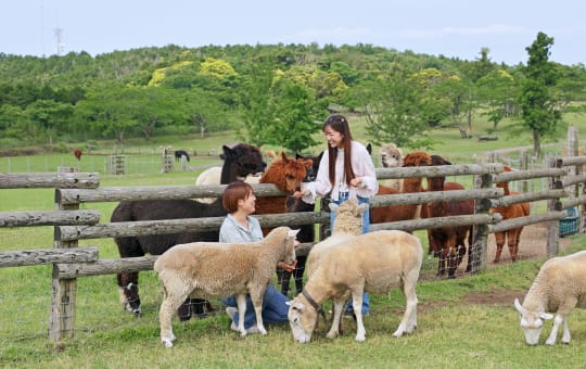 Mother_Farm_Tour_DX1_20250616_gzpqci