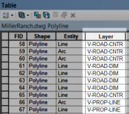 The Layer field in a CAD Feature Class