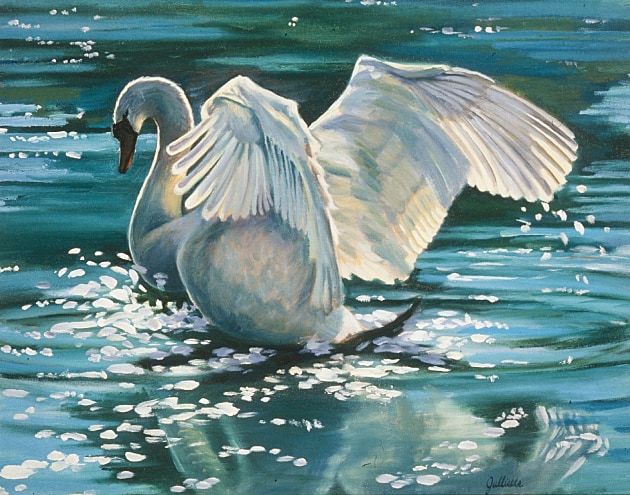 Swan into Flight, 16 x 20