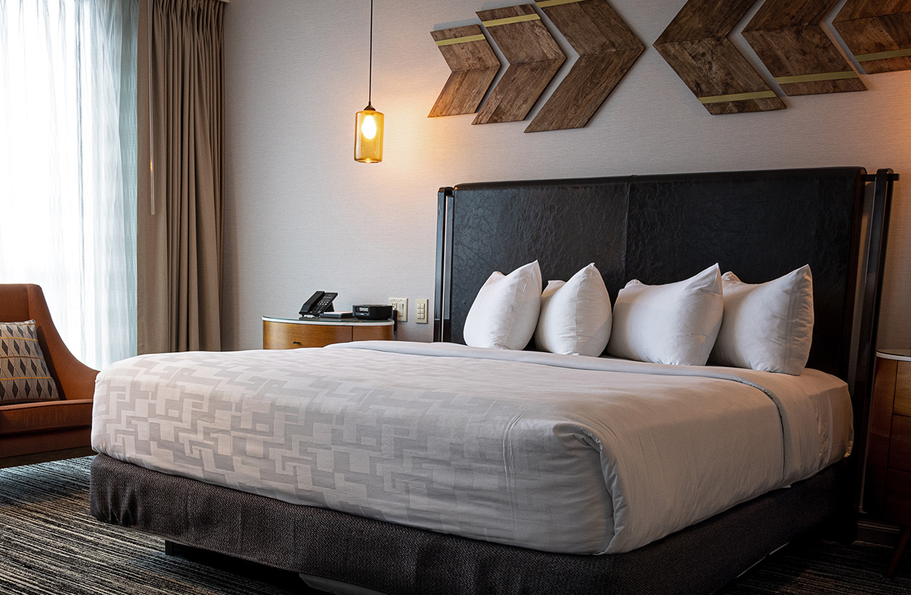 Music Legacy Suite