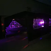 Disco Party Tents