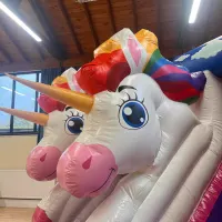 Unicorn Combi Slide Castle