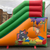 6ft Platform Slide