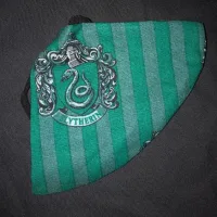 Slytherin Mask