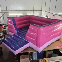Pink And Purple Indoor Low Height Bouncy Castle