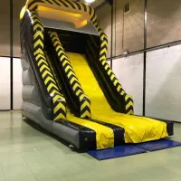 Toxic 12ft Platform Slide
