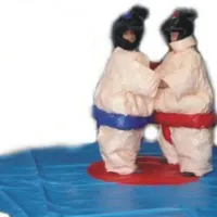 Kids Sumo Suits