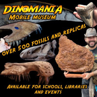 Travelling Dinosaur Museum