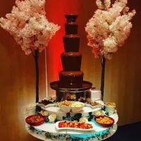 Extra Large Chocolate Fountain And Fruit Combi Display