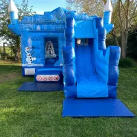 Frozen Themed Bouncy Castle With Front Slide