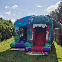 3d Dinosaur Slide