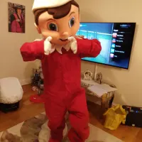 Elf On The Shelf Visit