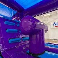 Party Obstacle Course And Magic Show Little Disco  Games - 2hr Package