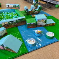 Farm Soft Play