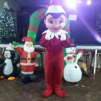 Elf On The Shelf Visit