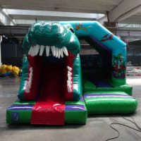 3d Dinosaur Front Slide Castle