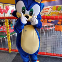 Sonic The Hedgehog Mascot