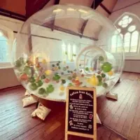 Bubble Balloon Dome