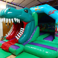 3d Dinosaur Bouncy Castle With Slide