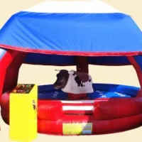 15ftx 15ft Rodeo Bull For (2 Hours)disney Megga Slide Red And Blue/40ft Army Assault Course/21ftx15ft Diseny Theme Castle Slide/10ftx9ft Ball Pool With Balls.