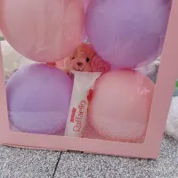 Balloon Gift Box2