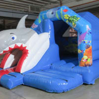 3d Shark Front Slide Combo Hire Liverpool