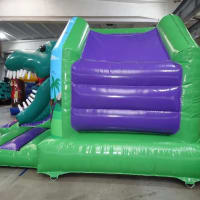 Dinosaur Castle And Magic Show Little Disco  Games - 2hr Package