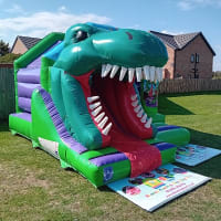 Dinosaur 3d Front Slide Combo