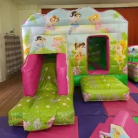 Ultimate Disco Fairy Party Package