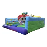 Inflatable Bugs Play Den Bouncy Castle