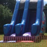 10ft Platform Party Slide