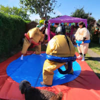 Sumo Suits