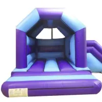 Blue And Purple Bouncy Castle And Slide