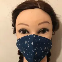 Harry Potter Stars Mask