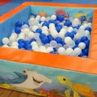 Ultimate 3d Shark Slide Castle Party Package