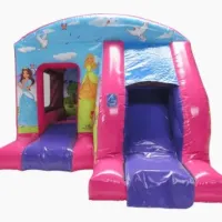 Princess 3d Carriage Slide Bouncy Castle