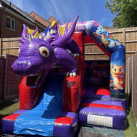 3d Dragon Slide Combi