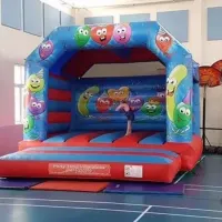 Any Party Bouncy Castle Kids Soft Play And Ball Pool Package