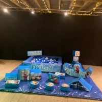 Frozen Soft Play