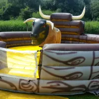 Rodeo Bull Hire Nottingham