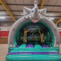 3d Jungle Bouncy Castle