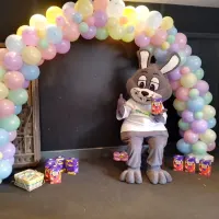 Easter Bunny Mascot