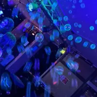 Uv Bubble Hire