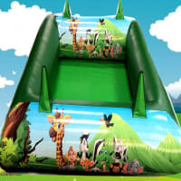 Jungle Themed Soft Play