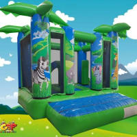 Indoor Jungle Castle