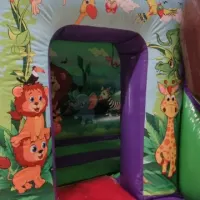 3d Lion Slide Bouncy Castle