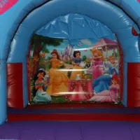 12ftx15ft Disney Princess